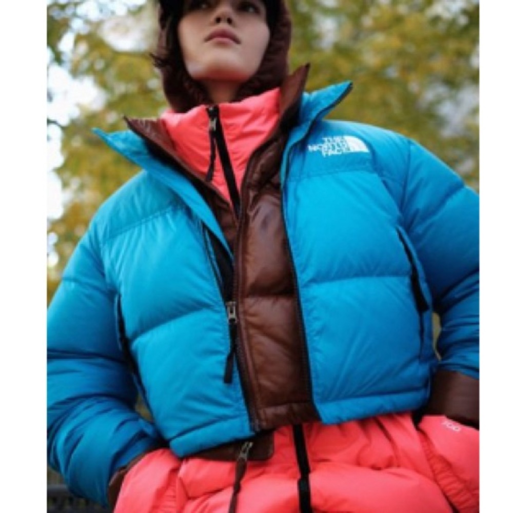 the north face 700 puffer